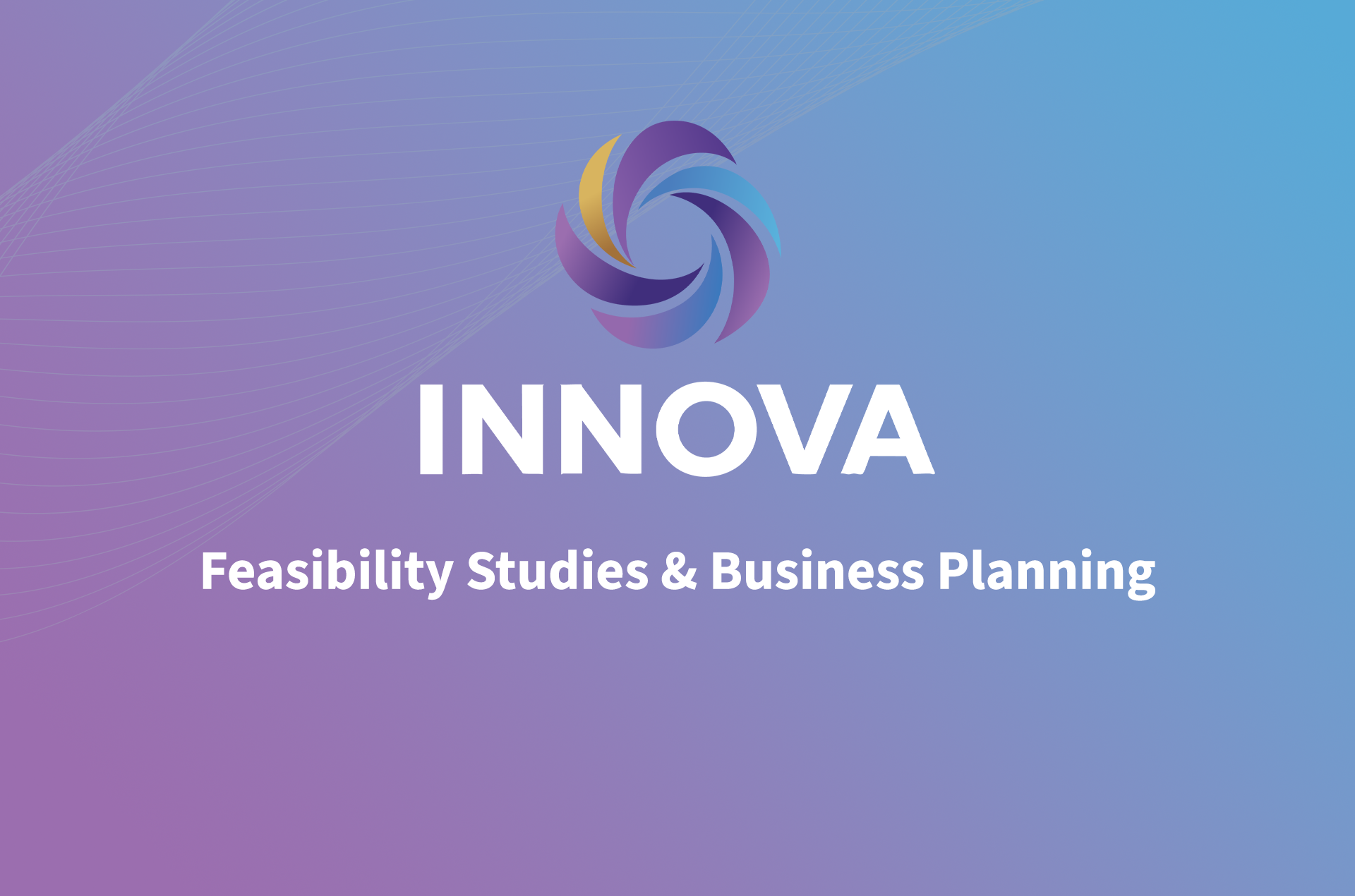 Feasibility Studies & Business Planning